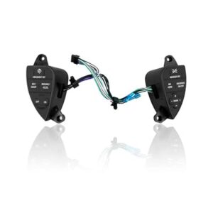 SWITCH CONTROL VELOCIDAD CRUCERO PROSTAR 2611199C91