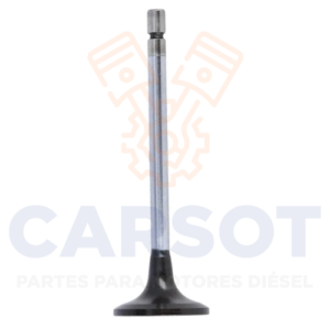 VALVULA ADMISION 30G OM457 OM460 A4600530001 A5410530101