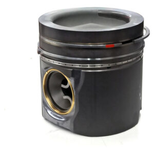 KIT PISTON CON ANILLOS OM460 A4600301017 2243869 41857600