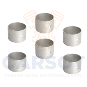 KIT 6 BUJES BIELA MAN D2876 D2866 51024051028 77812690