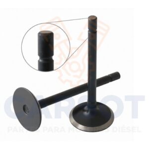 VALVULA ADMISION N844 120166350 120166380 120166390