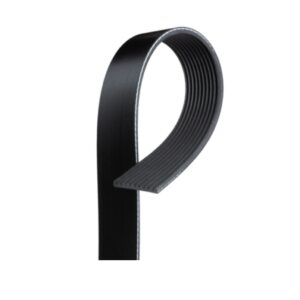 BANDA POLY RIB 12K825 12PK2095