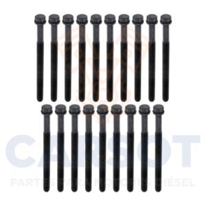 KIT TORNILLOS 19 CABEZA DD13 640065 A4710160069